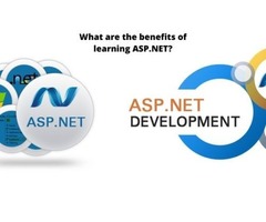 ASP.NET Training in Lucknow