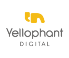 Best Digital Marketing Services in Mumbai - Yellophant Digital