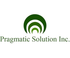 Best E-Commerce Development services - Pragmaticsolutioninc
