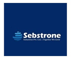 Sebstrone web design company