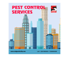 Pest Control Services in Andheri - Sadguru Pest Control