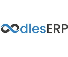 ERP Oodles Solutions | ERP Web Development