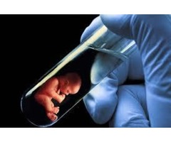 Affordable IVF Cost in Patna, Best IVF Centres in Patna-FertilityWorld.in