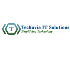 Techavia it solution