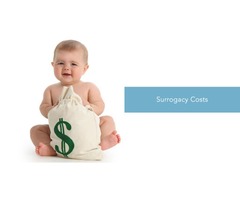 Surrogacy in Lucknow| Low-cost Surrogacy  in Lucknow - Ekmifertility