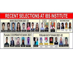 IBS Institute