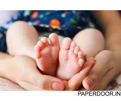 What is the cost of Surrogacy treatment in Delhi?