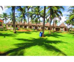 30+ Best Resorts for Day Outing in Bangalore | i Team Outings