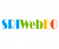 Sriwebeo - Digital Marketing Company Coimbatore