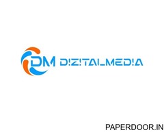 DizitalMedia Digital Marketing Agency