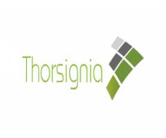 Thorsignia | Mobile app development | web development | digital marketing Agency