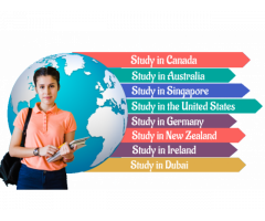 Maple Inc - Study Overseas and Education Consultants