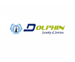 Dolphin Security