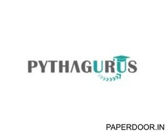 Pythagurus | MBA Consultant