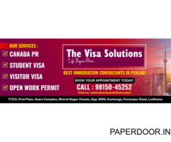 The Visa Solutions