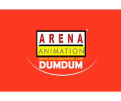 Arena Animation DUMDUM