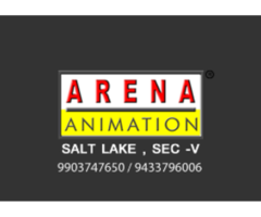 Arena Animation Saltlake