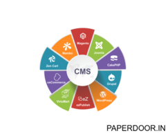 Custom CMS Web Development Company In Jaipur, India