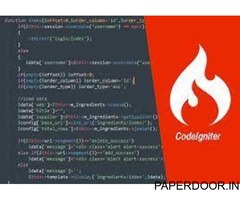Codeigniter Web Development Company in Jaipur, Rajasthan