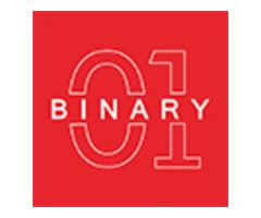 binaryic | Shopify Plus expert  in india