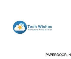 Tech Wishes Solutions - Shopify Development Company