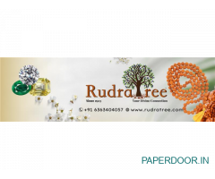 RudraTree Rudraksha & Gemstones