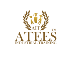 Atees Industrial training