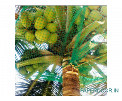 Coconut Tree Net Fixing in Bangalore | "Menorah CocoNets" - 6362539199