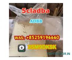 High quality 5cl hot selling factory stock