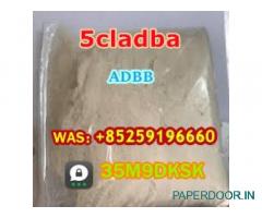 High quality 5cl hot selling factory stock
