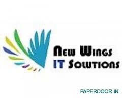 New Wings IT Solutions Pune