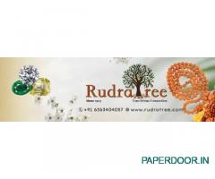 Rudratree