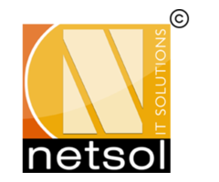 Best Leading IT Company | Netsol IT Solutions