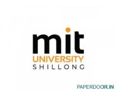 Top Colleges for MBA in Finance | MIT University