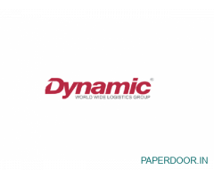 dynamic worldwide logistics group