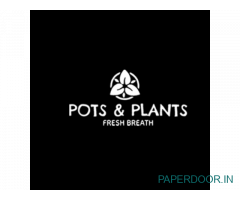 Pots and plot