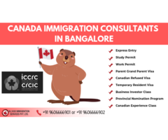 Looking for the best immigration consultants in Bangalore