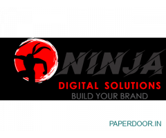 Ninja Digital Solutions – Digital Marketing Agency | Website Designing & Development company Gwa