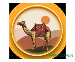 Camel Safari Bikaner