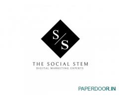 THE SOCIAL STEM