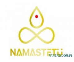 Empowering Businesses: Namastetu Technologies Leads Digital Marketing in Indore