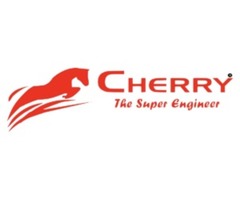 Cherry belts India