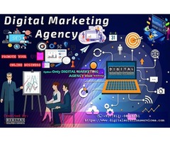 DIGITAL SOLUTION SERVICES : Digital Marketing Agecny