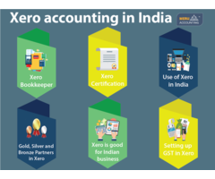 Xero accounting in India