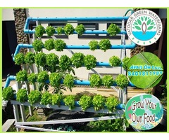 Vatodar Green Waterfarms