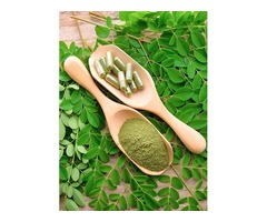 Organic Moringa Tablets and Capsules in India