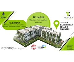 Tripura Constructions Green Alpha
