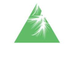 Pine Tree Pictures and Events Pvt.Ltd.